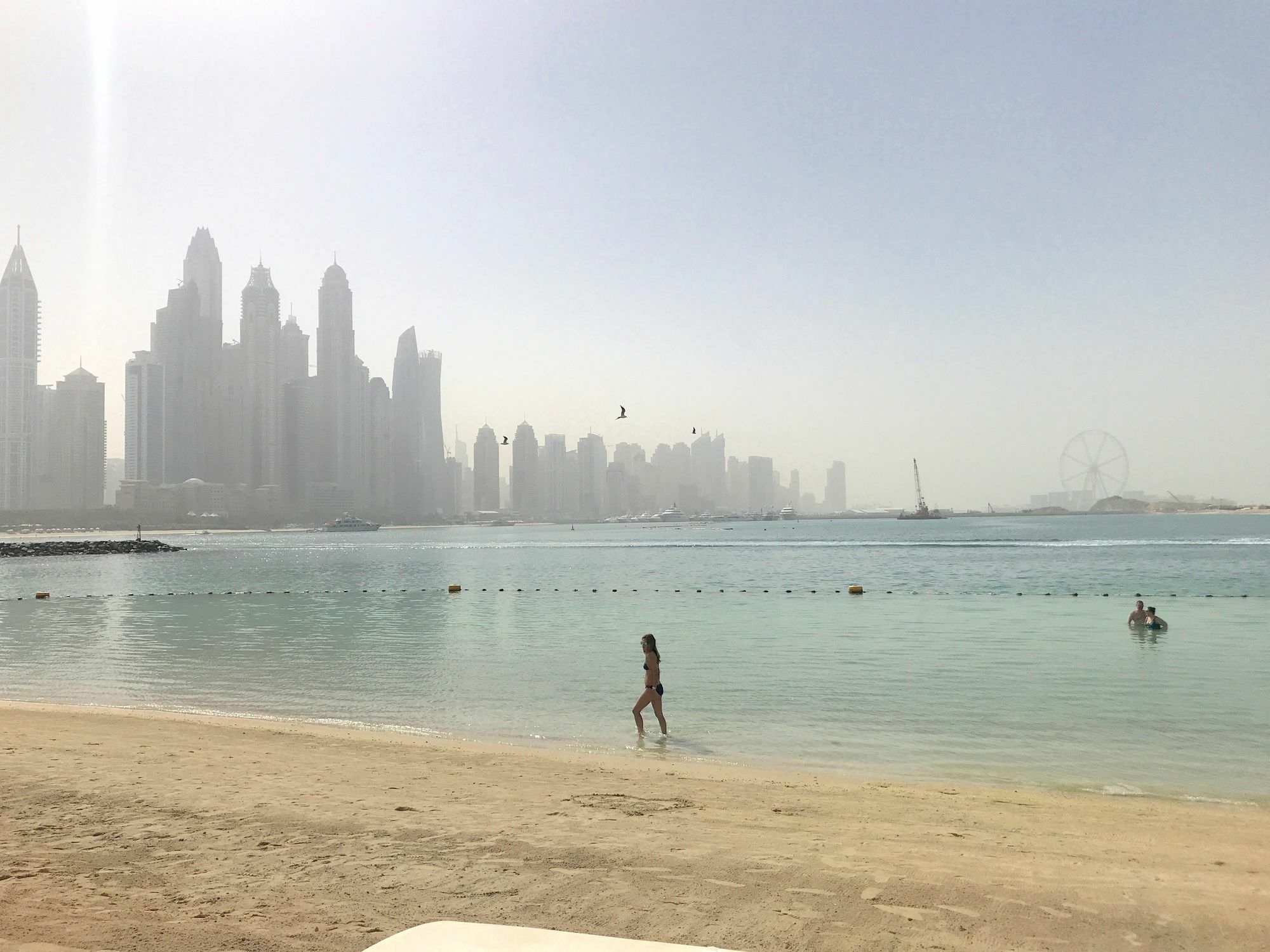 Evolve - The Five Palm Residences Dubai